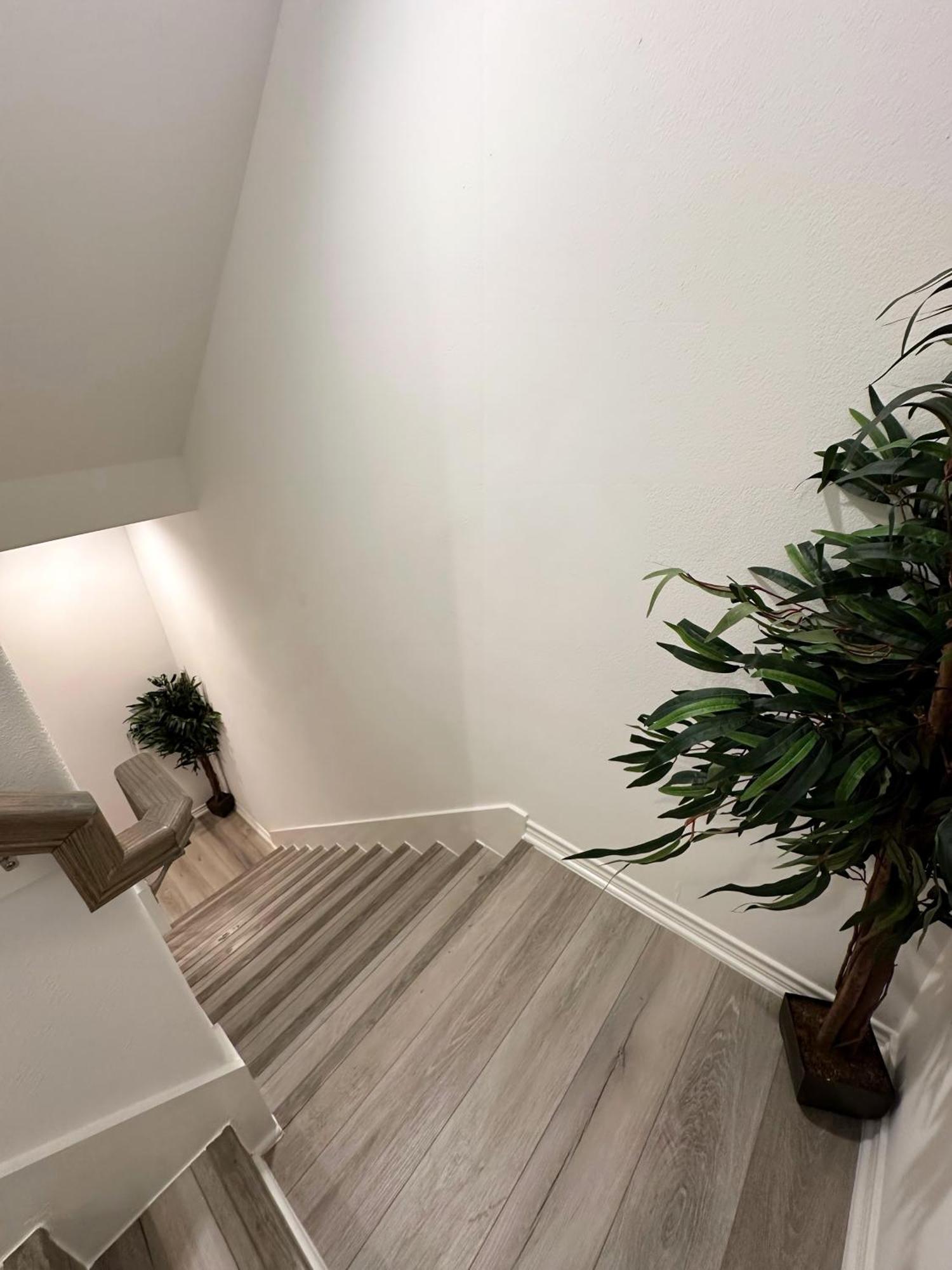 Luxe Three Story Duplex Near Downtown & Med Center Βίλα Χιούστον Εξωτερικό φωτογραφία
